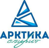 Логотип Арктика